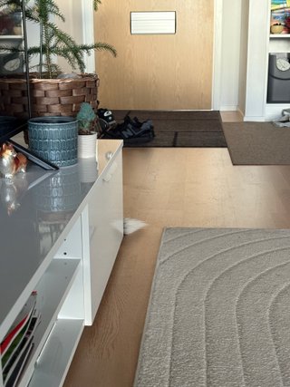 A black and white corgi cardigan