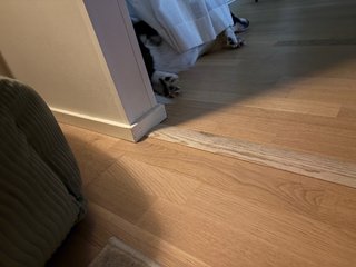 A black and white corgi cardigan lying in her usual corner, under a curtain. Her back paws are perfectly stacked on top of each other.