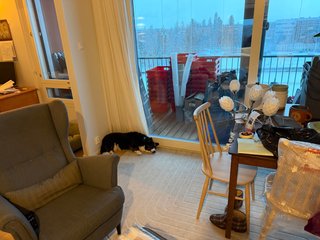 A black and white corgi cardigan sleeping next to the balcony door. A bunch of moving boxes are visible in the background.