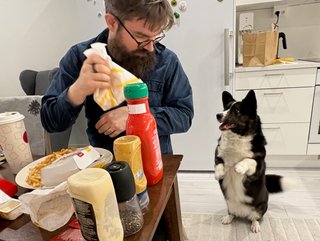 A black and white corgi cardigan jumping up to see if some of the McDonald
