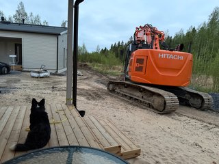 A black and white corgi cardigan sitting on a porch next to a big construction machine.