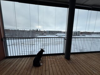 A black and white corgi cardigan sitting on an empty balcony, overlooking a wintery landscape.
